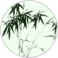 憶竹姐