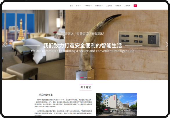 官網(wǎng)建設